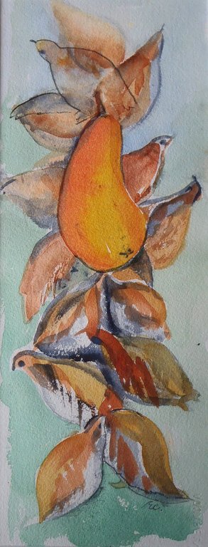 Pear in a Partridge Tree