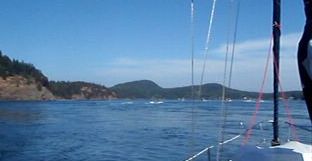 Whale watching boats in Active Pass