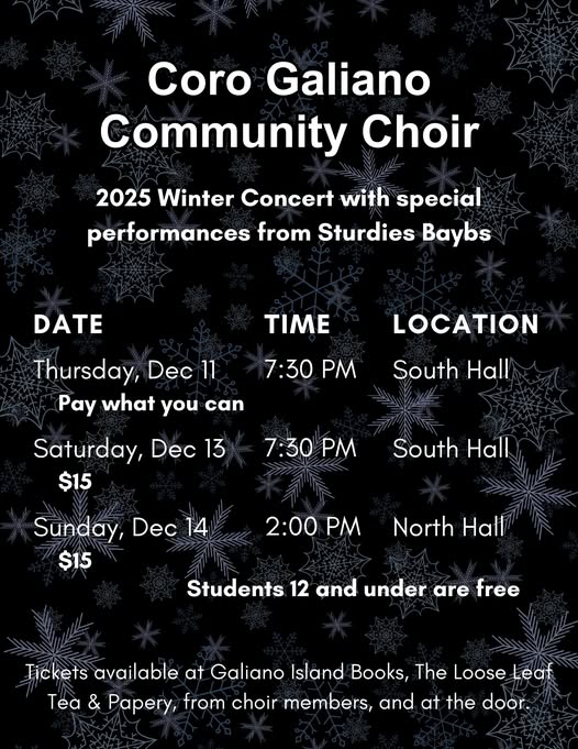 Xmas Concert Poster