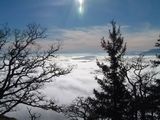 Mt. Galiano View