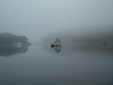 Waddington Mist thumbnail