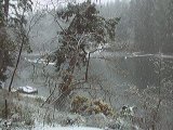 Whaler Bay Snow